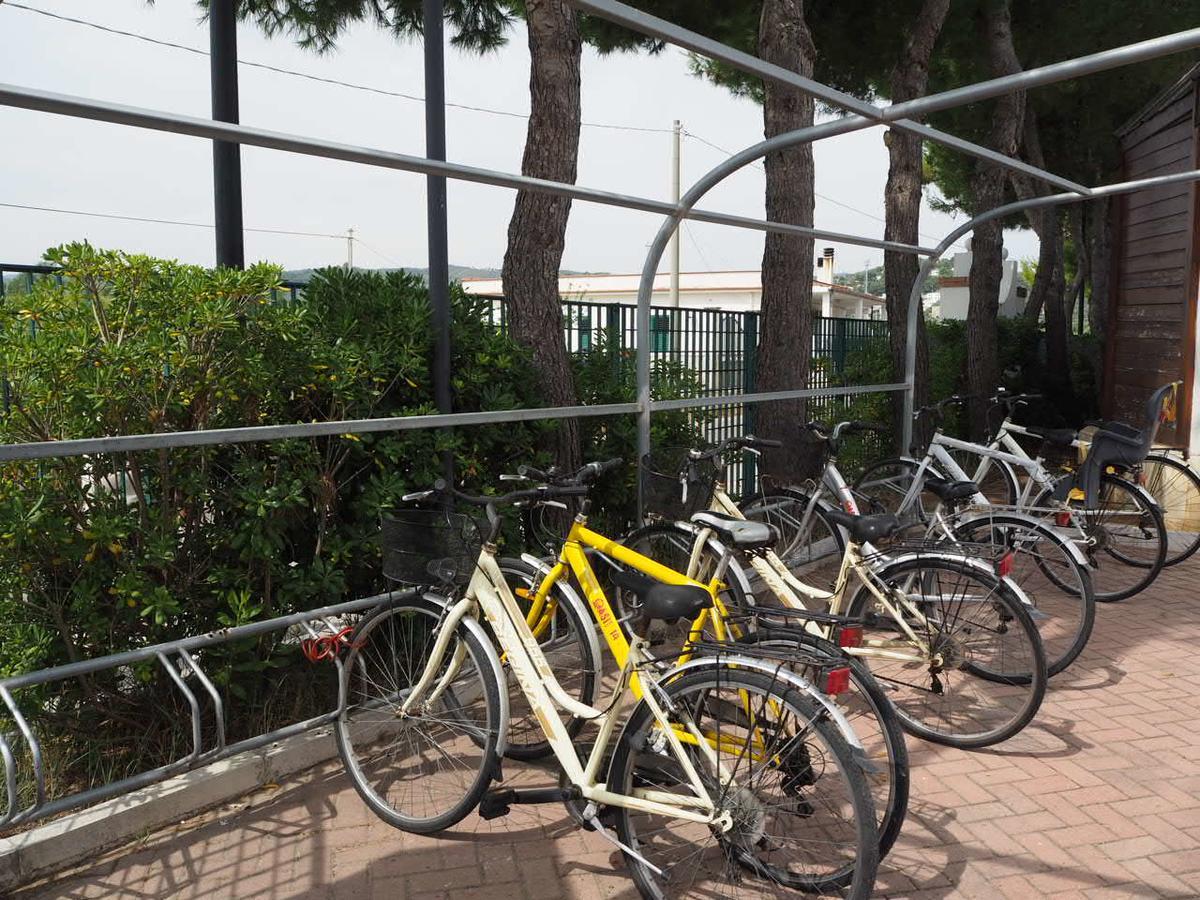 ויאסטה Oasiclub Hotel מראה חיצוני תמונה